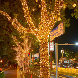 Guirlandes lumineuses à LED féeriques de 20, 50 et 100m pour fête de Noël, mariage et festival - Product Image 5