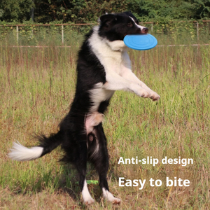 Disco Volador para Perros Joysing, Juguete de Entrenamiento para Cachorros, Disco Ligero, Suave y Flotante para Perros Pequeños y Medianos, para Entrenamiento Deportivo al Aire Libre - Product Image 4