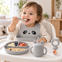 Ensemble d'alimentation pour bébé en silicone personnalisé OEM Panda avec assiette compartimentée, bol et distributeur de fruits pour la vente en gros