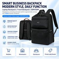 Sac à dos professionnel personnalisé avec logo OEM d'usine, durable, anti-rayures, pour ordinateur portable, idéal pour les voyages et le travail, vente en gros