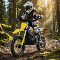 Nouvelle moto électrique 3000W 48V 23.5Ah Vitesse maximale 54Km/h Capacité de charge maximale 120Kg Cadre en alliage d'aluminium Moto électrique