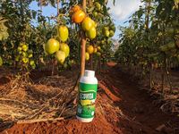 Pupuk Cair Mineral EcoVita Organa0 TZ Origin Nilai Tak Tertandingi Meningkatkan Kesuburan Tanah Mengoptimalkan Penyerapan Nutrisi Lebih Tinggi