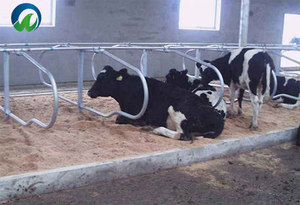 Nuovo Design di alta qualità fienili da latte gabbie per animali con bancarelle libere vacca che posa letti per bestiame attrezzature agricole - Product Image 3