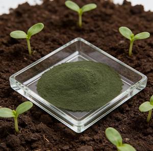 Fertilizante Orgánico de Trichoderma con Ácido Húmico 10^9 UFC en Polvo - Previene el Moho Gris, Antracnosis y Cánula del Tallo - Agente Microbiano Ecológico - Product Image 2