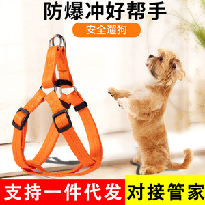 Harnais pour chien de style gilet en nylon réglable, sangle de poitrine pour petit chien, pour Teddy, Corgi, chiot, Golden Retriever - Product Image 4