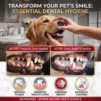 Dentifrice enzymatique pour animaux de compagnie, éliminateur de plaque et de tartre pour chiens et chats, sûr à avaler, soin buccal clinique, enzymes pour une haleine fraîche, marque privée