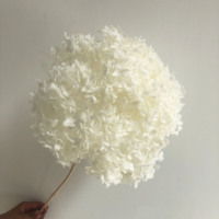Matériel DIY : Fleurs d'hortensia Anna éternelles et préservées, colorées et durables, avec branches, vente en gros et en vrac