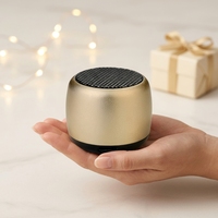 Mini-enceinte compacte personnalisée, portable, légère, en métal, avec audio Bluetooth, pour salons professionnels, cadeaux promotionnels d'entreprise, vente en gros