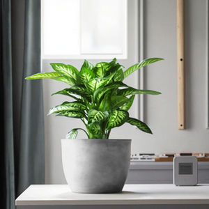 <span class=keywords><strong>Vasi</strong></span> per <span class=keywords><strong>Piante</strong></span> Succulente di Alta Qualità a Forma di Cilindro, Vaso da Tavolo in Argilla Fibrosa Ecologica, Design Minimalista per Giardino - Product Image 1