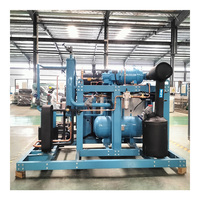 Unidad de Refrigeración Tipo Tornillo para Almacenamiento en Frío Industrial a Gran Escala, Suministro para Fábricas, Equipo para la Cadena de Frío de Alimentos