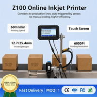 Impresora de Inyección de Tinta TIJ Automática en Línea Willita WLD-Z100 de 600 DPI |   Máquina de Codificación de Fecha, Lote y Código QR con Bomba y Engranaje de 12.7mm