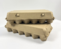 Cartons à œufs réutilisables de haute qualité à 18 alvéoles, compostables, biodégradables, en carton, boîtes rigides recyclables, antibactériennes
