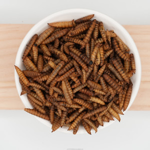 Larva Lalat Tentara Hitam yang Diangkutkan Secara Alami - Tanpa Bahan Tambahan, Pilihan Lebih Sehat, Perhatikan Pertumbuhan Hewan Peliharaan Anda dengan Jelas - Product Image 1