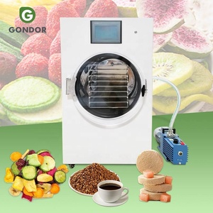 Liofilizador Comercial Liofilizador Secador de Congelación al Vacío Precio Liofilizador Máquina de Liofilización - Product Image 1