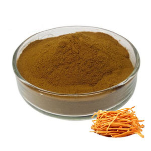 ผงสารสกัดจาก Cordyceps sinensis แบบแคปซูลพร้อม20% - Product Image 4