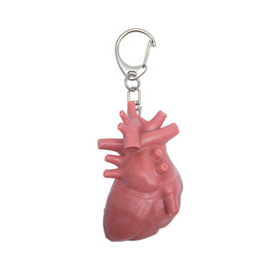 Modèle d'organes internes simulés : Cœur, Foie, Rate, <span class=keywords><strong>Poumon</strong></span> et Rein – Modèle anatomique cardiaque pédagogique avec pendentif porte-clés - Product Image 2