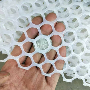 <span class=keywords><strong>Filet</strong></span> <span class=keywords><strong>de</strong></span> volaille blanc à <span class=keywords><strong>prix</strong></span> réduit pour la reproduction - Product Image 3