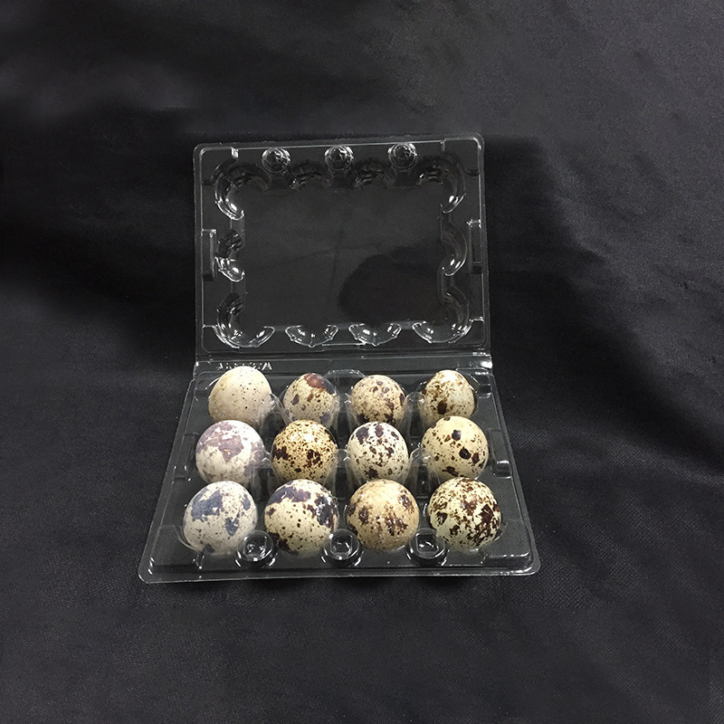 Wholesale of Brand-new Plastic Disposable Egg Tray 12 Grid Quail Eggs Packaging Box Poultry Bird Multiple Models extra Thick