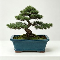 Pot à fleurs rectangulaire en céramique émaillée de style chinois pour bonsaï d'intérieur, résistant aux fissures
