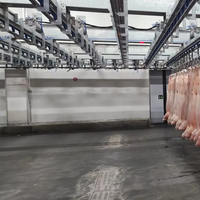 Équipement d'abattage de porcs entièrement automatique, machines d'abattoir de porcs, abattoir mobile pour porcs, machine de transformation