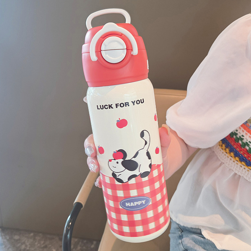 Red 500ml-with straw-direct drinking
