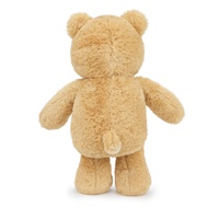 Ours en peluche avec des oreilles rondes, un nez brun et des pattes arrondies pour des présentations classiques d'ours en peluche