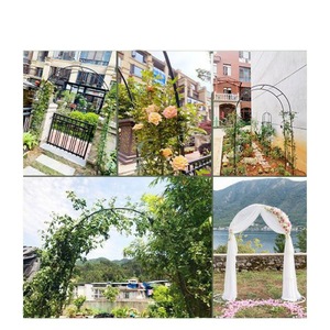 Iron Climbing <b>Trellis</b> Arch For Roses Grapes Clematis Outdoor Garden Patio <b>Plant</b> Support Easily Assembled Round Shape - Product Image 1