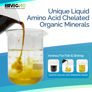 สารอาหารเสริมสำหรับการเพาะเลี้ยงสัตว์น้ำชนิดกรดอะมิโนเชลเลตและแร่ธาตุอินทรีย์ในรูปแบบของเหลว เพื่อช่วยในการเปลี่ยนเปลือกของกุ้งและส่งเสริมการเจริญเติบโตของ<span class=keywords><strong>ปลา</strong></span> - Product Image 2