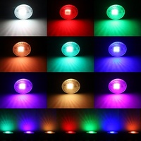 Ampoule LED étanche IP65 E27 E26 Par20 Par30 Par38 RGB, projecteur COB, éclairage 10W 20W 30W 40W, télécommande, intensité variable