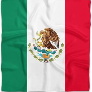 Diadema de Apoyo a México, Serigrafiada, Deportiva, de Poliéster, con Bandera Nacional, Bandera para Coche, Decoración para Eventos, Regalo - Product Image 6