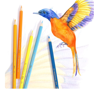 <span class=keywords><strong>Faber</strong></span>-<span class=keywords><strong>Castell</strong></span> Huile de peintures au plomb colorées solubles dans l'eau 36 couleurs pour la peinture sur toile emballée dans une boîte en papier - Product Image 6