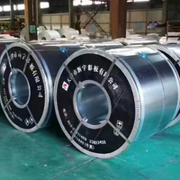 Bobina de Acero Galvanizado Prepintado Aluzinc con Acabado Mate, Bobina de Galvalume, Estándar ASTM, Certificación CE, Suministro del Fabricante