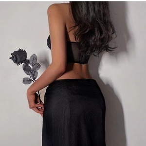 Lism Custom Ins Style Beautiful Rose Embroidery Steel Tow Fishbone Bra Sexy Chest Vest Tube Top Shoulder Straps Firm Control - Product Image 2