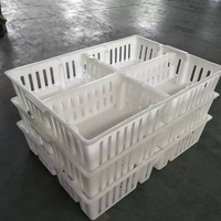 Caisse de transport pour poussins en plastique cage de transport pour poulets vivants cage de transport empilable pour bébé poussin