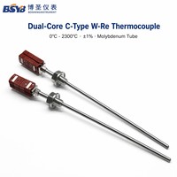 BSYB Dual Core C Type Tungsten Rhenium Thermocouple 0~2300 deg C Mo Tube High Temperature Probe Sensor