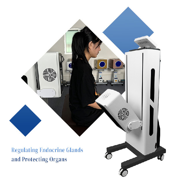 Commercial Grade Terahertz Therapy Machine Traditional