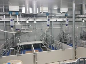 Stall de caisse de pépinière durable directe d'usine-Anti-blessure réglable pour les porcelets sevrés | Équipement d'élevage de porcs - Product Image 5