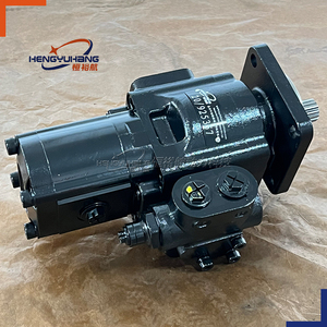 HENGYUHANG yüksek basınçlı hidrolik pompa 20/925357 20925357 hidrolik dişli pompalar takım tezgahları için, enjeksiyon kalıplama makineleri - Product Image 6