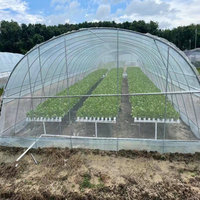 Serre tunnel agricole pour semis