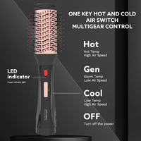 Sèche-cheveux ionique électrique professionnel 2-en-1, brosse coiffante à air chaud, brosse démêlante, utilisation hôtelière, 3 réglages de température