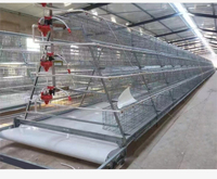 Système de cage à poules pondeuses entièrement automatique de type A, galvanisé, avec système de collecte d'œufs, pour usage agricole