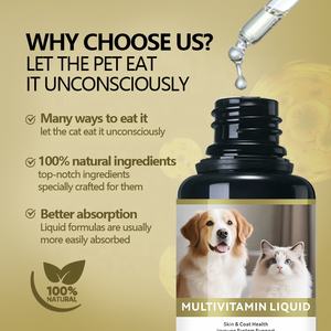 Gocce Multivitaminiche per Gatti e Cani, Integratori per il Supporto Articolare, Marca OEM, Multivitaminico Liquido Tutto in Uno per Animali Domestici - Product Image 6