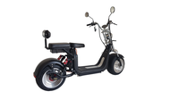 Scooter électrique Citycoco HR5 2000W 60V 12Ah avec batterie au lithium, deux roues, étanche et démarrage/arrêt