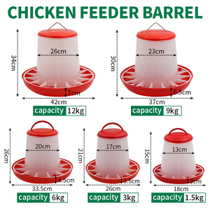 Comedero Automático de Plástico Ecológico y Ligero para Pollos, Patos, Gansos y Palomas, Suministros para Aves, Cubo de Alimentación para Pollos - Product Image 2