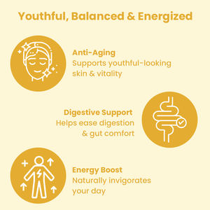 Crème de soin anti-âge pour la peau, les cheveux et les ongles, stimulant l'énergie et la concentration, à la vanille, au collagène et aux champignons, marque privée. - Product Image 6