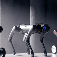Robot chien quadrupède industriel pour l'inspection, le sauvetage, la sécurité et la recherche D30