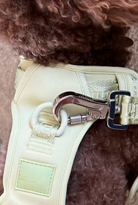 2025カスタマイズロゴ犬用ハーネスダブルリース調整可能通気性ネオプレンペットアクセサリーナイロン素材 - Product Image 3