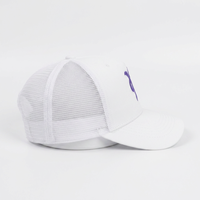 Gorra de Camionero Personalizada de Alta Calidad, de 5 Paneles, de Secado Rápido, Deportiva, Unisex, con Perforaciones, Bordado 3D, para Playa, Pesca y Actividades al Aire Libre