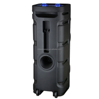 Sistema de audio profesional Altavoz de fiesta Blue Tooth para música Altavoces de alta calidad de sonido