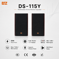 Sistema de PA DSZ DS-115Y de 50W para Metal con Woofer de Rango Completo de 4.5 Pulgadas para Educación Musical en el Aula